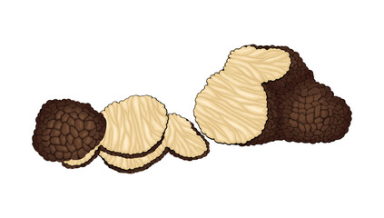 Truffle and Thin Slices as Subterranean Ascomycete Fungus Vector Illustration