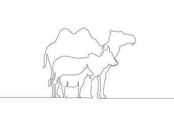 Single continuous line drawing of goat, sheep, buffalo, cow and camel. Muslim holiday the sacrifice an animal, Eid al Adha greeting card concept one line draw design illustration