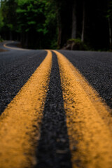 asphalt road in autumn