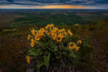 autumn in the mountains