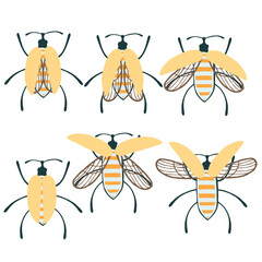 Set of simple flat beetle with different wings collection insects flat vector illustration isolated on white background