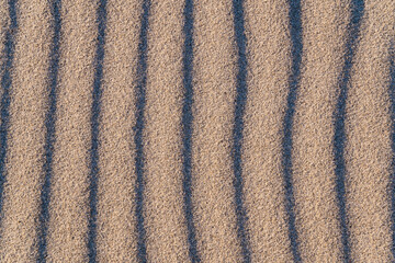 wavy sand on the beach on a sunny day, texture
