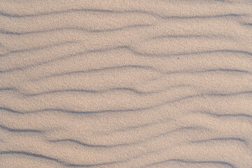 wavy sand on the beach on a sunny day, texture