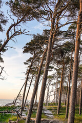 Weststrand auf Zingst