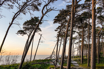 Weststrand auf Zingst