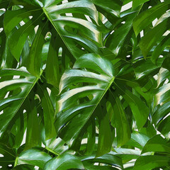 Monstera Deliciosa leaf seamless pattern. Tropical background with jungle plants. Green exotic pattern with palm leaves