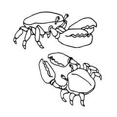 set of funny crabs with claws, for decorative ornaments & patterns, vector illustration with black ink contour lines isolated on white background in doodle & hand drawn style