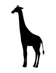 Black silhouette mature giraffe african animal with long neck cartoon animal design flat vector illustration isolated on white background