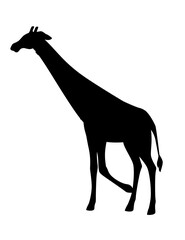 Black silhouette mature giraffe african animal with long neck cartoon animal design flat vector illustration isolated on white background