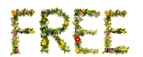 Flower, Branches And Blossom Letter Building English Word Free. White Isolated Background