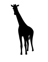 Black silhouette mature giraffe african animal with long neck cartoon animal design flat vector illustration isolated on white background
