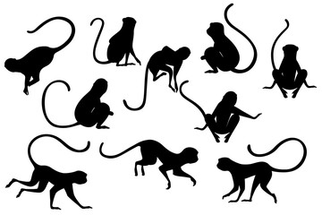 Black silhouette set of cute vervet monkey cartoon animal design flat vector illustration isolated on white background © Alfmaler