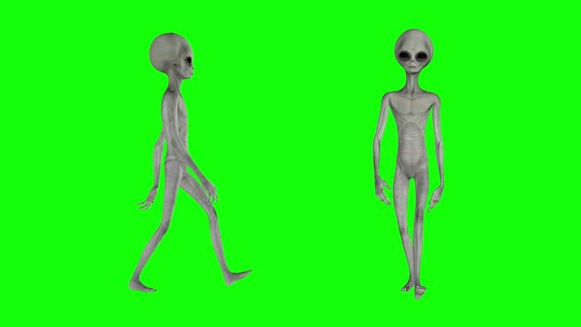 Scary gray alien walks and looks blinking on a green screen. UFO futuristic concept. 3D rendering.