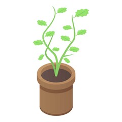 Farm plant pot icon. Isometric of farm plant pot vector icon for web design isolated on white background
