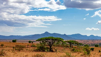 Fototapete Landscape views of kidepo Valley National Park © wasswa