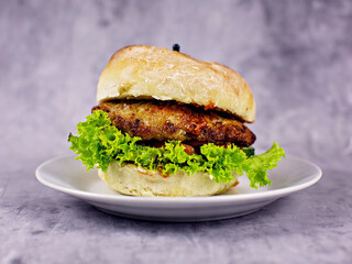 Burger with meat and vegetables on the background