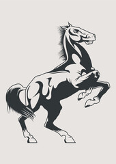 Horse Stallion Hand Drawn Emblem, Label, Logo 