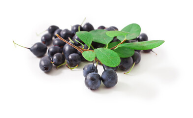 Heap of blueberry with leaves isolated on a white background.