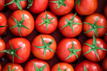 Tomatoes, healthy food. Isolated tomato top view. white background or closeup