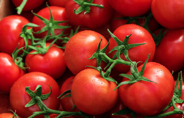 Tomatoes, healthy food. Isolated tomato top view. white background or closeup