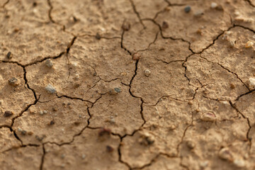 Part of a Huge Area of Dried Land Suffering from Drought - in Cracks