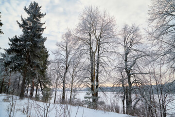 View from the shore of a river or lake, when the water is covered with a of ice powdered with snow and trees foreground. Winter landscape