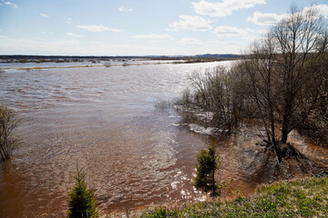 High water on a river or on a lake in sunny spring day