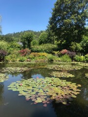 Obraz na płótnie Canvas pond in the park