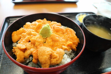 日本の利尻島で食べた生うに丼