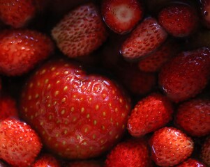 strawberries on a white background