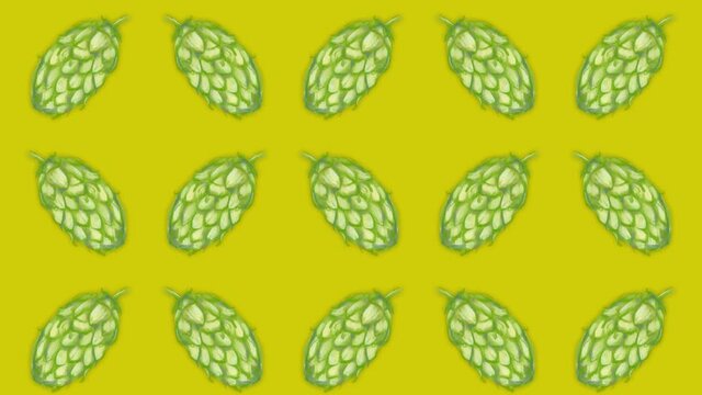 hop sprout pattern, ideal footage for themes such as craft beers, natural products and alcoholic beverages