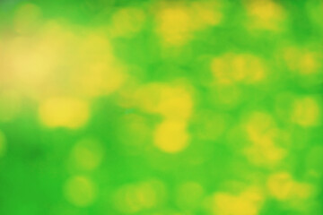 Fototapeta na wymiar defocused colorful green yellow blurred bokeh background