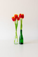 5 tulips in 2 glasses on a white table.