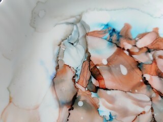 Alcohol Ink Art. Clouds Macro. Colorful Marble 