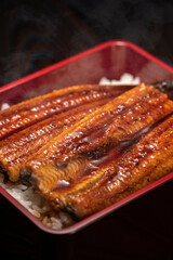 国産うなぎを使用した鰻重【土用の丑の日】