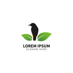 Bird Logo Template, Animal logo design vector