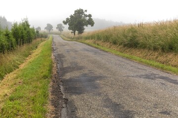 Fototapeta na wymiar Country road on a misty. Morning fog on the asphalt country road. Traveling in the morning. Danger on the road.