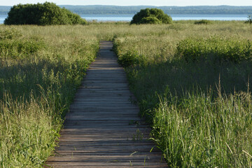 Obraz premium wooden bridge in the field