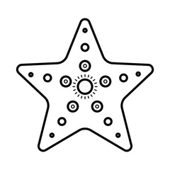 Common starfish or sea star fish marine life flat vector icon
