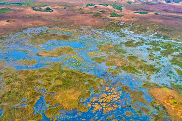 Aerial view, Okavango Delta, Okavango Grassland, UNESCO World Heritage Site, Ramsar Wetland, Botswana, Africa