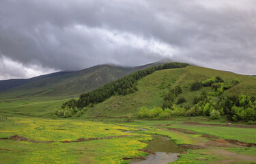 Obraz premium green trees mountain under dark sky