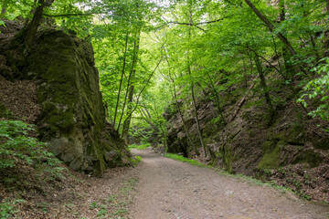 A dirt road leading through a green forest in a narrow valley