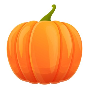 Autumn orange pumpkin icon. Cartoon of autumn orange pumpkin vector icon for web design isolated on white background
