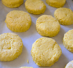 Raw scone dough cut into rounds and resting on baking paper,  ready to overlay text or copy. 