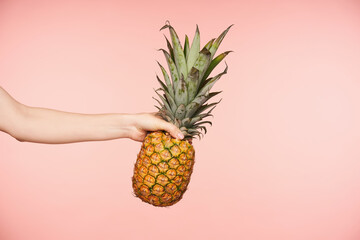 Side view of pretty woman's hand with nude manicure squeezing fingers while holding big fresh pineapple, being isolated against pink background