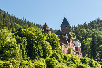 Zwingenberg Castle in Neckar Valley, Germany