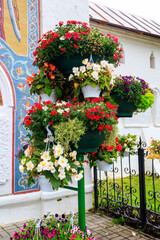 Fototapeta na wymiar Iron stand with many flower pots with different blooming flowers