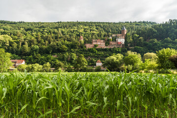 Fototapeta na wymiar Zwingenberg Castle in Neckar Valley, Germany
