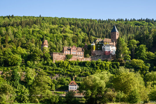 Zwingenberg Castle in Neckar Valley, Germany