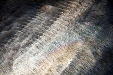 Rusty metal surface close up